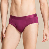 Classic Mens Silk Briefs Sexy Silk Triangle Boxer