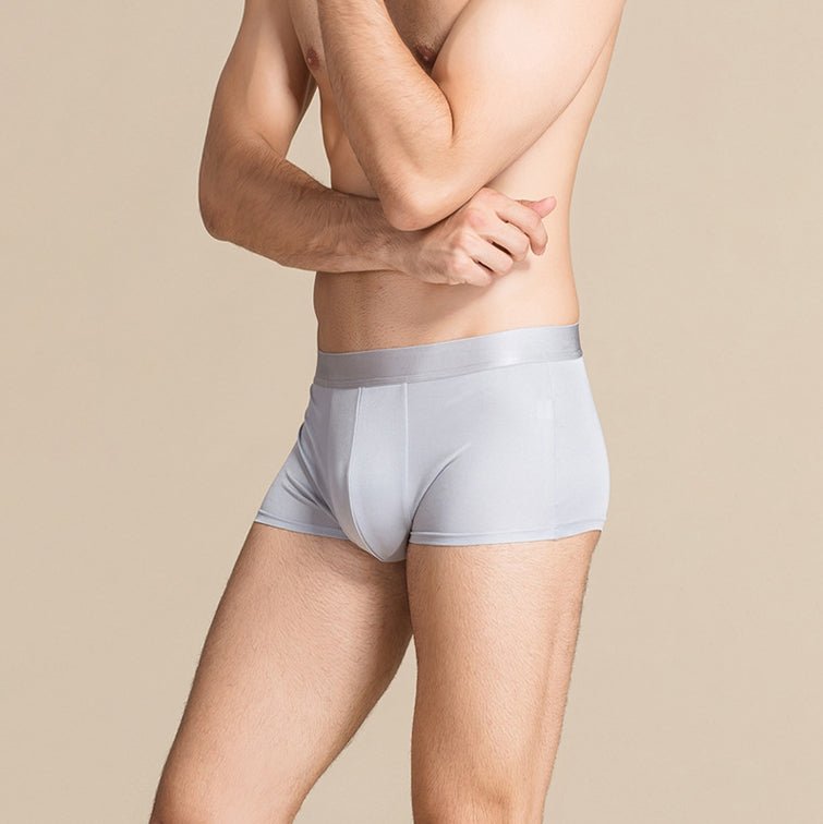 Classic Mens Silk Briefs Comfy Silk Boxer